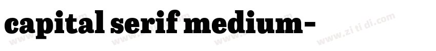 capital serif medium字体转换 capital serif medium字体转换